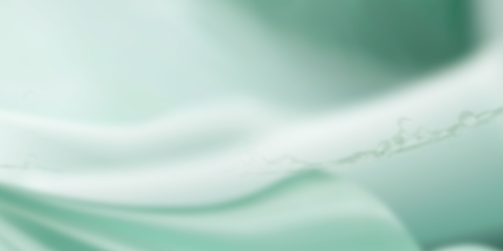 山東國(guó)新起重機(jī)械有限公司 